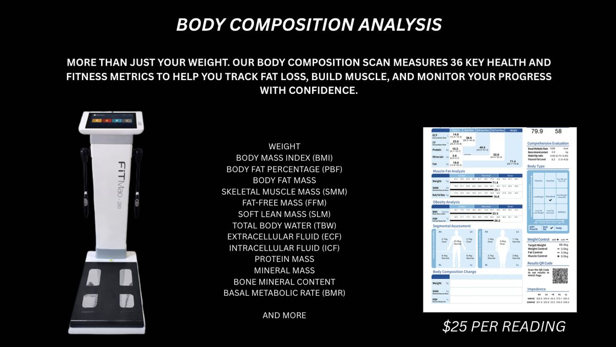 Body composition analysis at Solis Body Club: the scanner, a sample report and the metrics it measures, $25 per reading