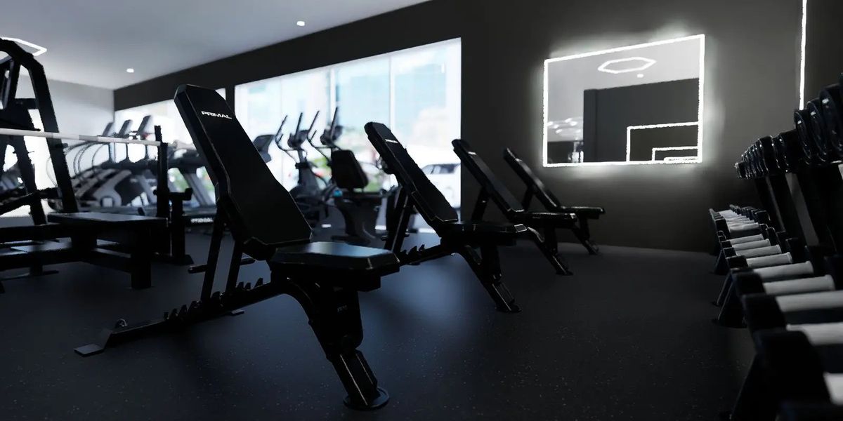 Primal adjustable benches, dumbbells and cardio machines by the windows at Solis Body Club