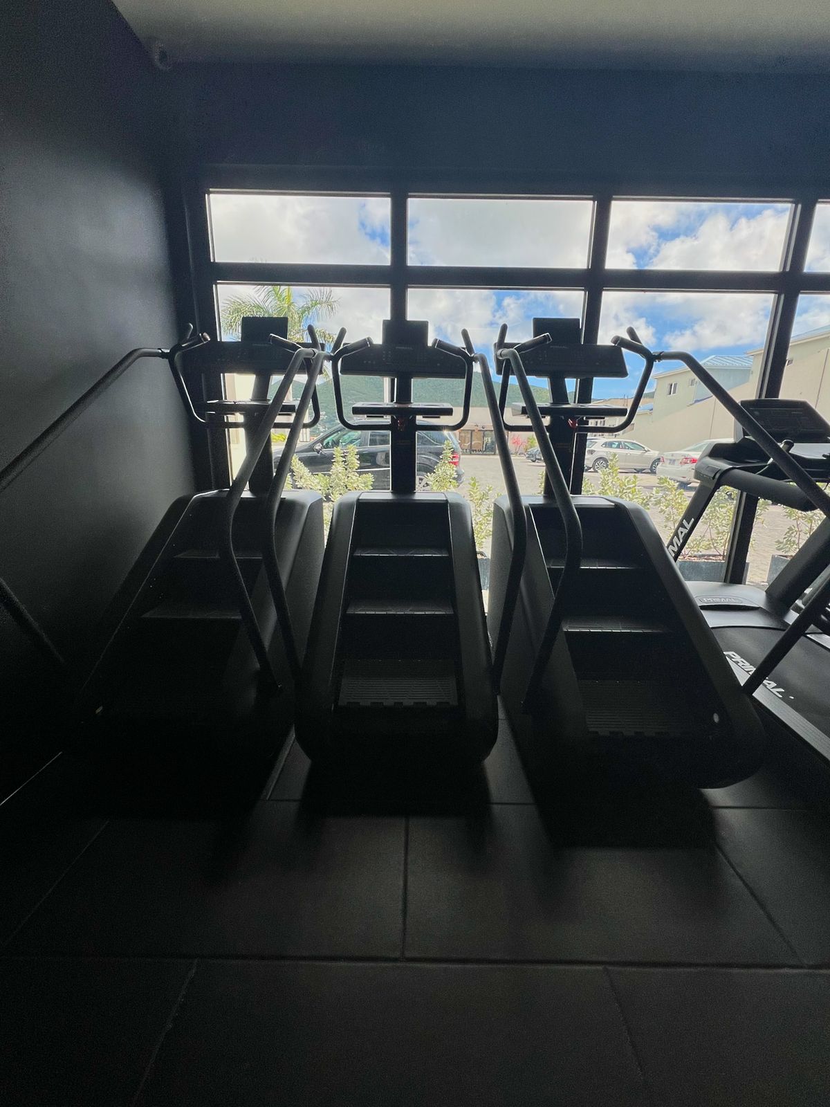 Stair climbers facing the windows