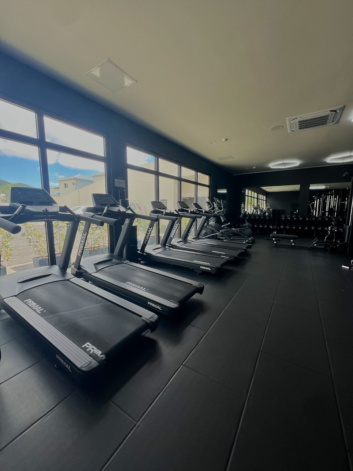 A row of Primal treadmills along the windows